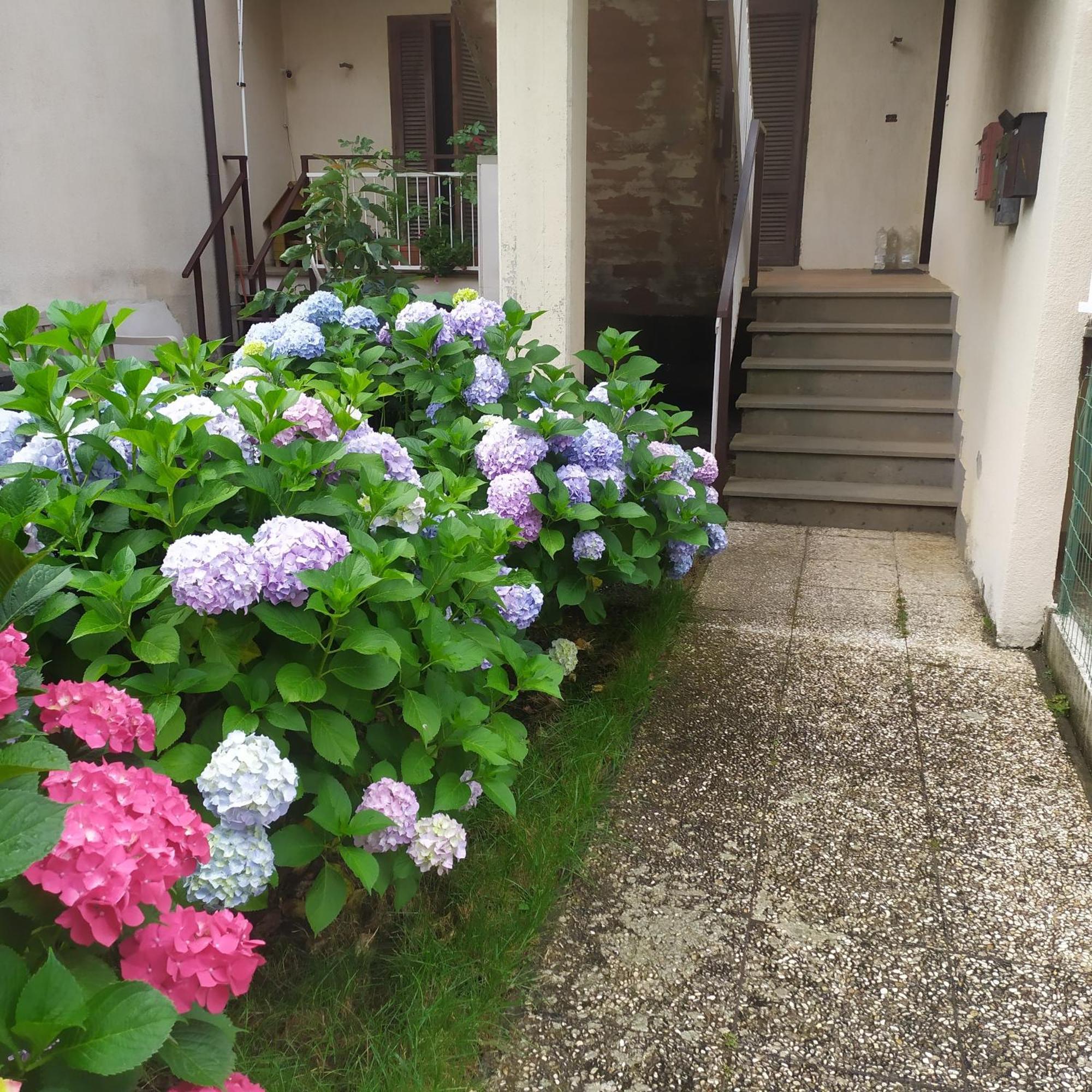 Apartment Santa Maria Bolsena Buitenkant foto
